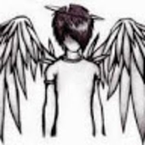 Meet your Posher, Felipe